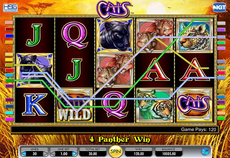 Cats Video Slot Free Demo