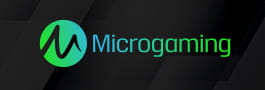 Slot Provider Microgaming