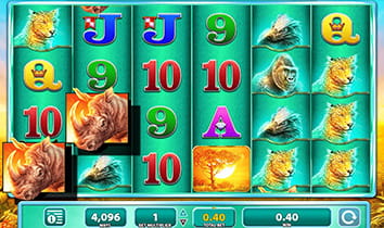 Raging Rhino Slot at Casumo